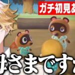 【ミリしらあつ森】たぬきの見分けはつかないしせっかちすぎて釣りも待てないタイガ【神永タイガ/切り抜き/にじさんじ/あつまれどうぶつの森】