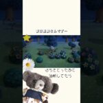 【あつ森】夜の島は危険なんです…