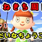 【あつ森★ゼロはじ】#９７  つねきち周回｜激レア！いだいなちょうこくがほしい！【第４の島】