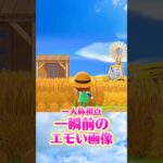 麦畑を見渡す絵、縦長画面で作りたくない？ #あつ森