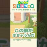 【あつ森】まだまだ続くよ！初めての区画整理！🏠🌲#あつまれどうぶつの森