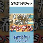 どうぶつの名前ダジャレ募集中 #あつ森 #あつまれどうぶつの森 #ゲーム実況