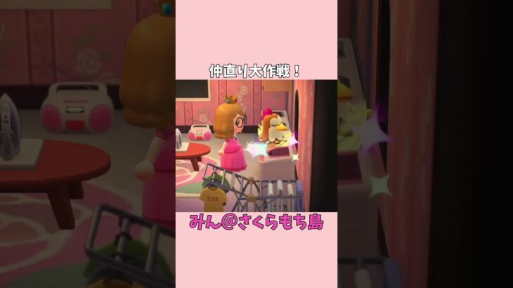 【あつ森】素直になれないイノッチの仲直り大作戦！