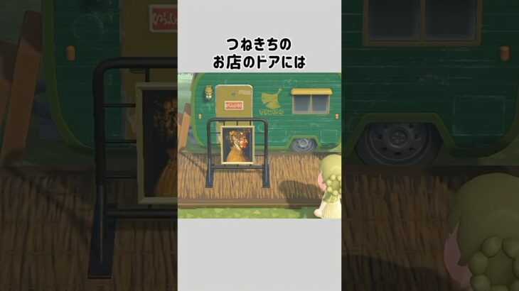 【あつ森】隠された小さな秘密２選㊙️