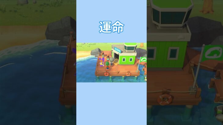 運命の出会い【あつまれどうぶつの森】