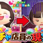 【あつ森】ガチャガチャ店員の一日ルーティン【あつまれどうぶつの森】