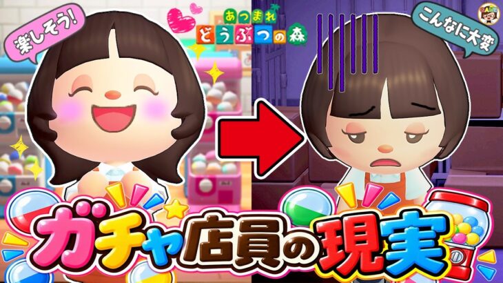 【あつ森】ガチャガチャ店員の一日ルーティン【あつまれどうぶつの森】