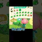 真相はいかに。。。！ #あつ森 #ききゆん 【嬉々桜ゆん】#あつまれどうぶつの森 #ゲーム実況