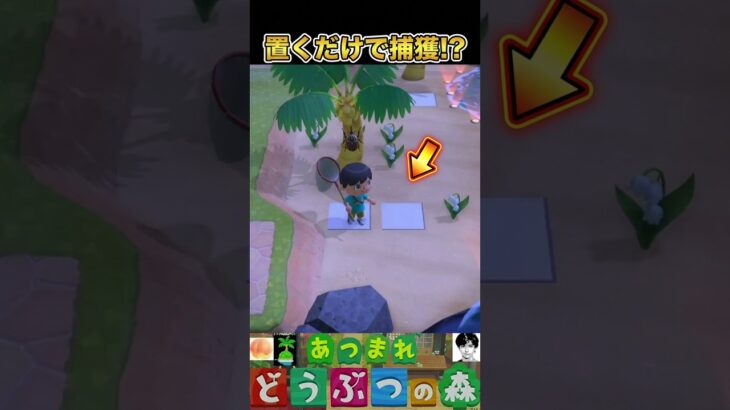 便利な虫捕獲器【あつ森】