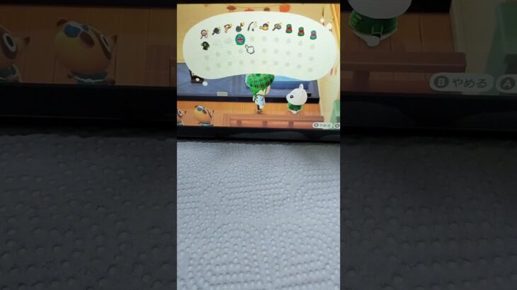 あげたくなるよね🥰#あつ森 #あつまれどうぶつの森