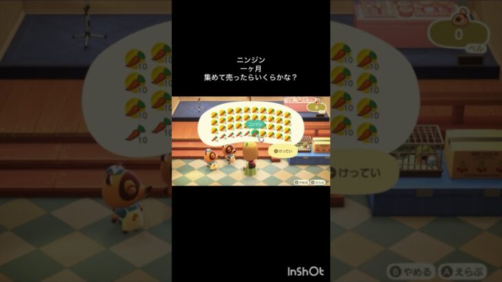 【あつ森】にんじん一ヶ月集めて売ったらいくら稼げるのか