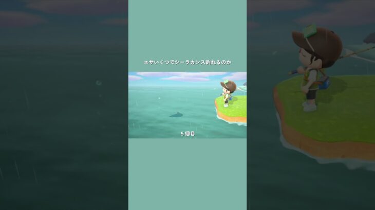 【あつ森】 魚のまきエサ何個で釣れるのか検証