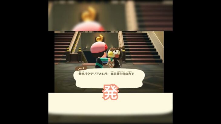 ちょうちんあんこう、思ったより怖い