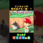 この住民、完全に極主婦だが…⁉ #あつ森