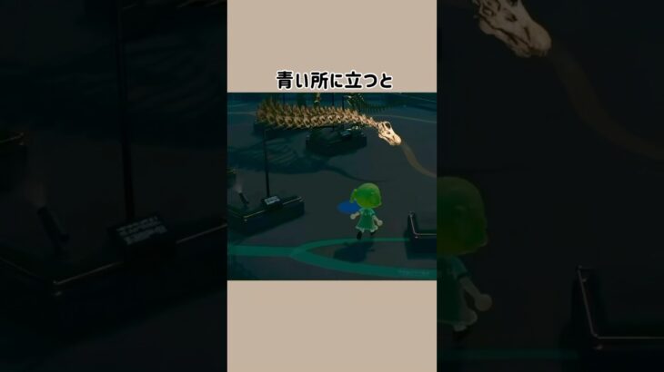 【あつ森】博物館の秘密㊙️２選