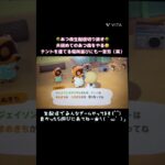 【あつ森】夫初めてのあつ森🌳テントを建てるのも一苦労でした🤣（笑）