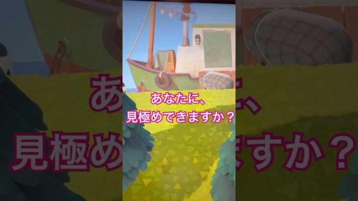 【あつ森】見極めできますか？ #あつまれどうぶつの森 #あつ森 #偽物#本物