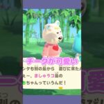 気合いが入る口癖 #あつ森  #あつまれどうぶつの森  #女性ゲーム実況