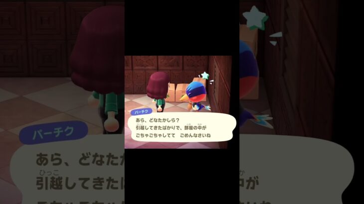 【あつ森】新しい仲間がやってきた🌸パーチクさんと初めまして