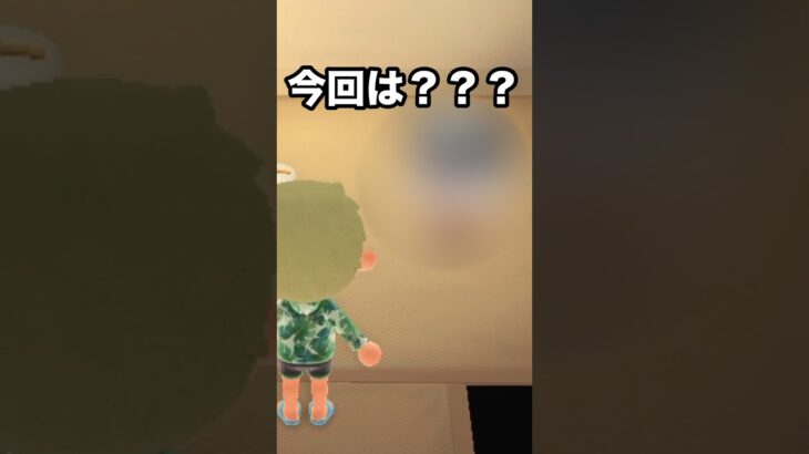 【あつ森】久々にいきます！！キャンプサイトガチャの結果は…