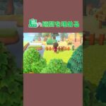 【あつ森】島のこの隙間、どう埋める？🍂【島クリエイト】