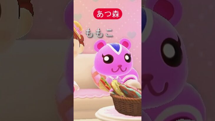 観光客コンプあつ森　ももこ