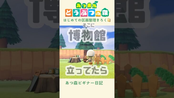 【あつ森】博物館をどこに移動させようかな🦉💭#あつまれどうぶつの森