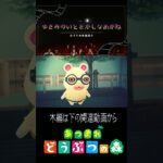 【ショート】ゆきみのいとをかしなめがね  #あつ森