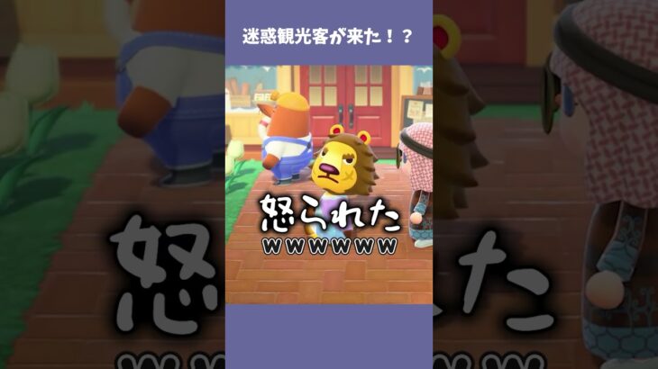迷惑観光客の対処方法 #あつ森  #あつまれどうぶつの森  #女性ゲーム実況