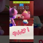 【#あつ森 】ガビ【#あつまれどうぶつの森 】