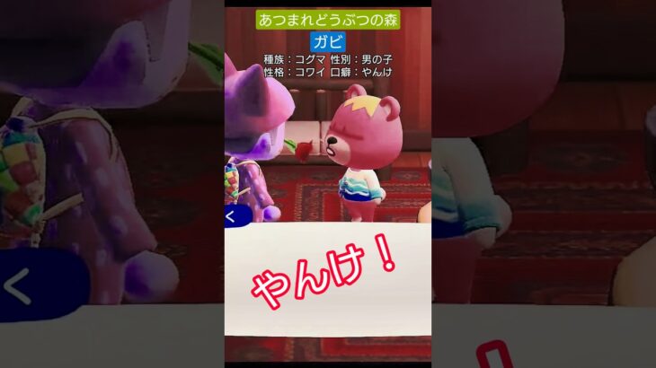 【#あつ森 】ガビ【#あつまれどうぶつの森 】
