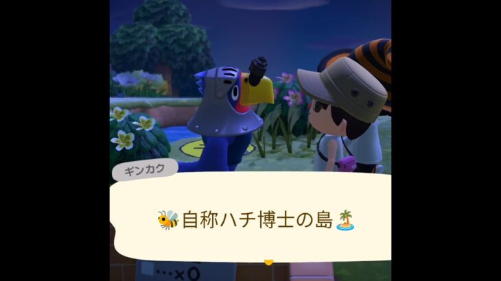 【驚愕】島民との会話がアツ過ぎるあつ森😳✨ #あつ森