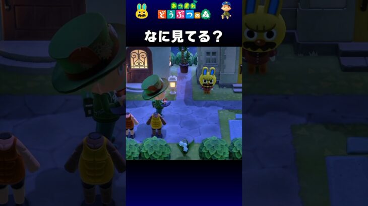 【あつ森】なに見てる？