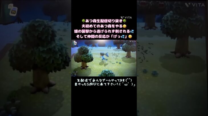 【あつ森】夫初めてのあつ森🌳お約束！ハチに刺されました😂