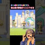 あつ森となりのおじさん初心者が夢島行くとこうなる