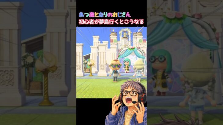 あつ森となりのおじさん初心者が夢島行くとこうなる