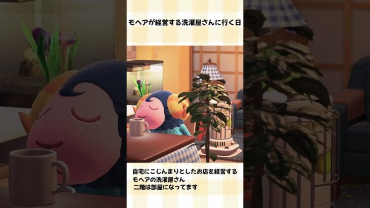 【あつ森】再投稿