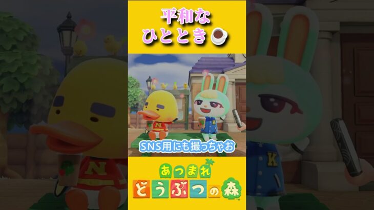 リチャードとミッチェルの平和すぎる時間【あつ森】 #あつまれどうぶつの森 #あつ森 #ゲーム実況