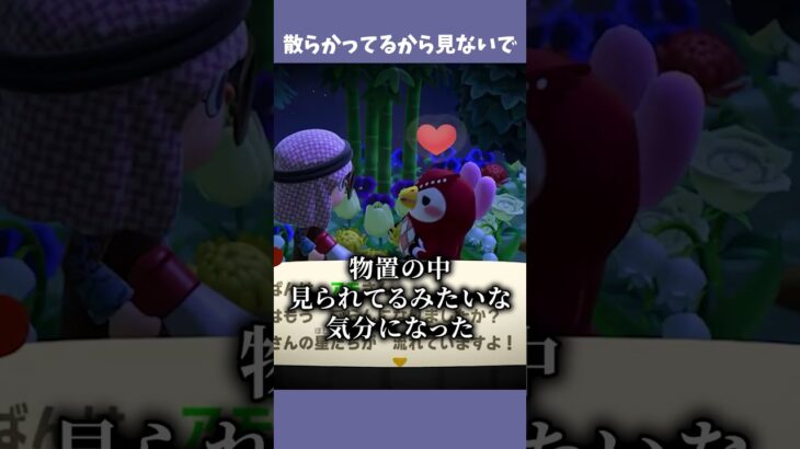 立ち入り禁止エリアに居るフーコ #あつ森  #あつまれどうぶつの森  #女性ゲーム実況