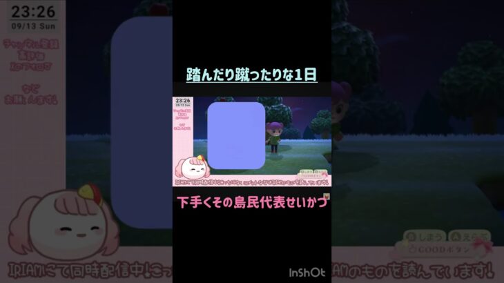 【あつ森】踏んだり蹴ったり…😭