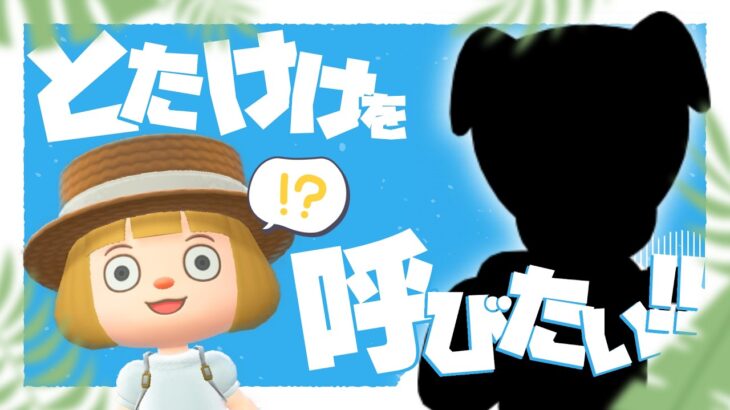 【あつ森】今日、とたけけに会おうと思う。【生配信】