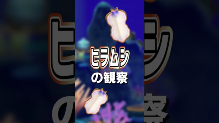 【あつ森】ヒラムシの観察