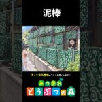 【あつ森】あの家、泥棒が住んでない？