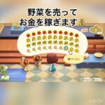 【あつ森】　野菜まとめて売ってみた！