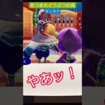 【#あつ森 】ギンカク【#あつまれどうぶつの森 】