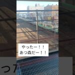 あつ森列車を探せ！！⑩