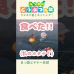 【あつ森】ラコスケ君の泳いで行った先を追いかけてみたら🦦🐚#あつまれどうぶつの森