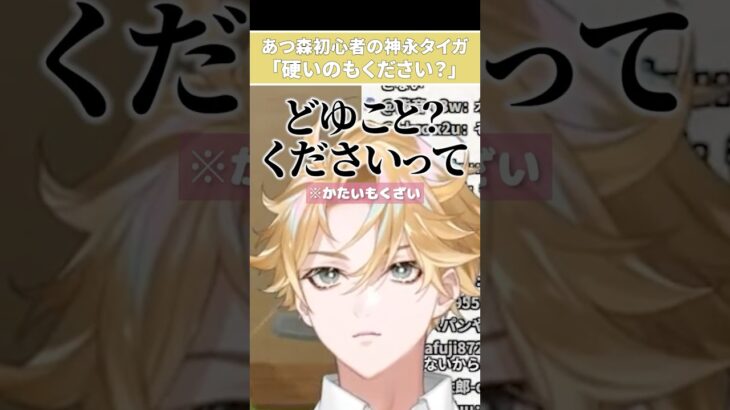 あつ森初心者の神永タイガ「硬いのもください？」【神永タイガ/にじさんじ切り抜き】