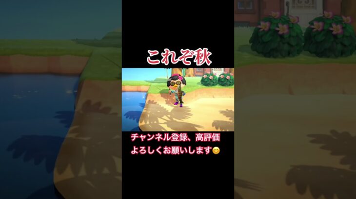 マジでリアルすぎるよな。#あつまれどうぶつの森 #あつ森 #どうぶつの森 #実況プレイ #ゲーム実況