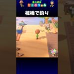 【あつ森】桟橋で釣り
